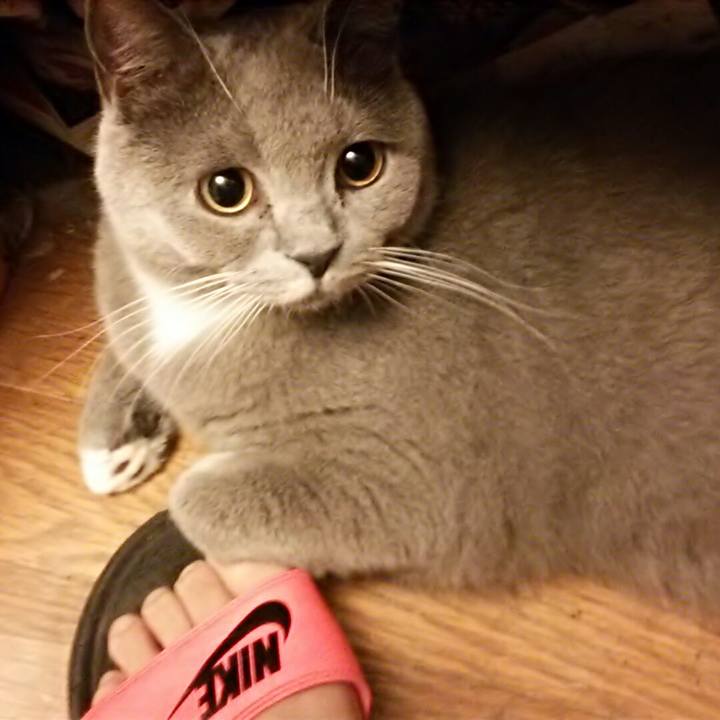 49c582e2 f686 4ef3 b422 15b9e355d738 1555499386562