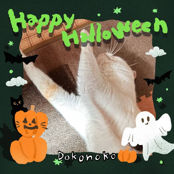 49c60f8e 3b9f 4c3b 8499 a739fcc52337 1729128830631