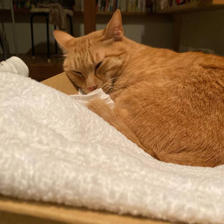 49c6205d 324e 43bd 882d 0590a961fbc5 1699017709927