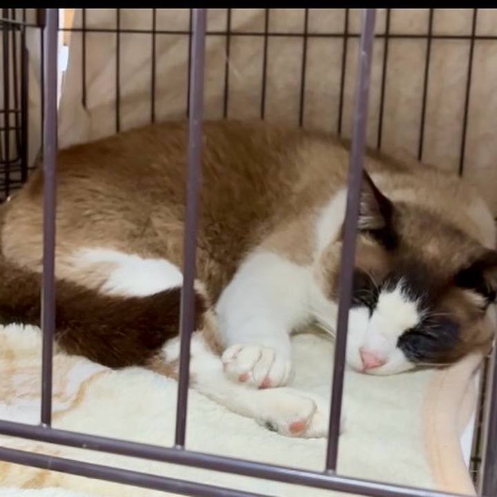 49c634a1 6189 4af2 8a3c 7d8feb154f00 1745497585241