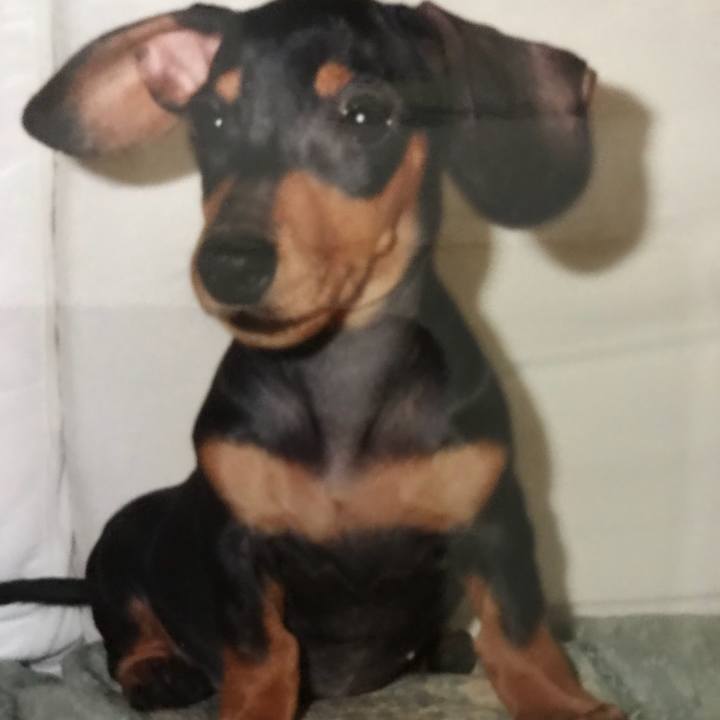 49c641fe 2013 4dba b5b6 829e9951aa12 1527597001933