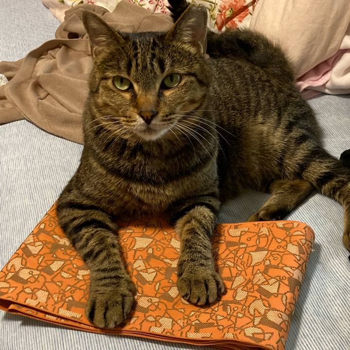 49c67b9f f1f7 481a 82f9 44d44ae4bfc7 1624861816344