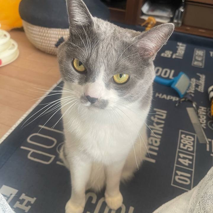 49c6964e a832 4cd2 b395 d9bb77a345e0 1705203601610