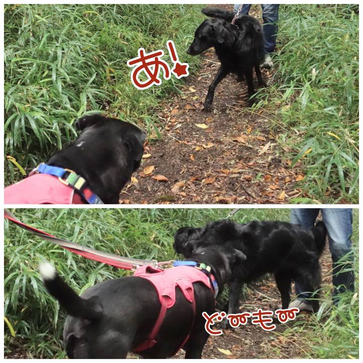 49c6aa2c e3c2 4a67 aa55 dfe4bfc3fdc2 1698540642402