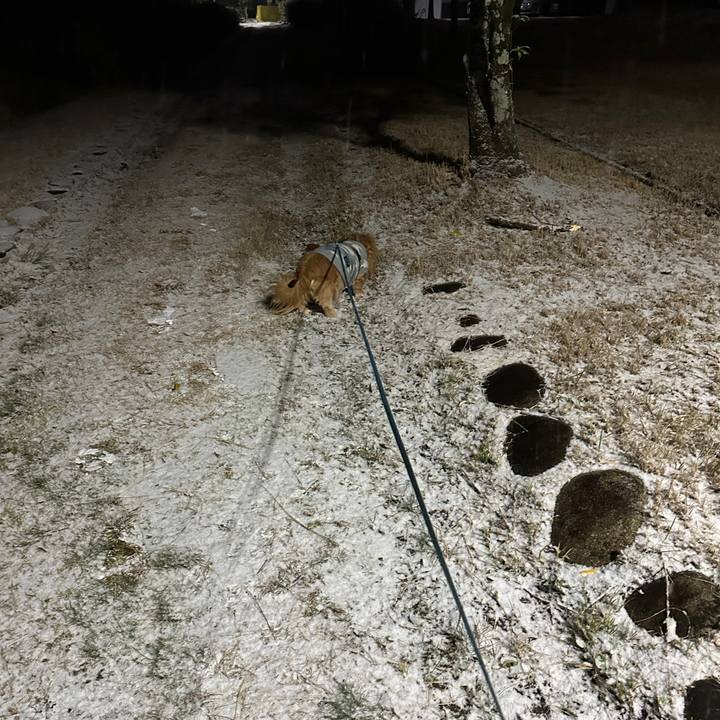 49c6ae20 3644 4d1d bc5d a19b20d7206f 1736459131062