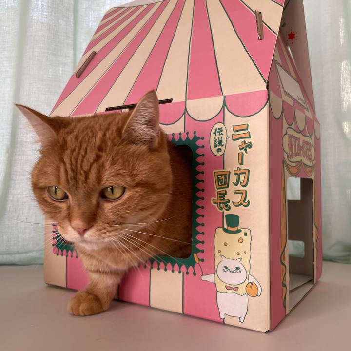 49c6b0a9 846e 4f0b b7b7 d7036f04c9a5 1771254448287