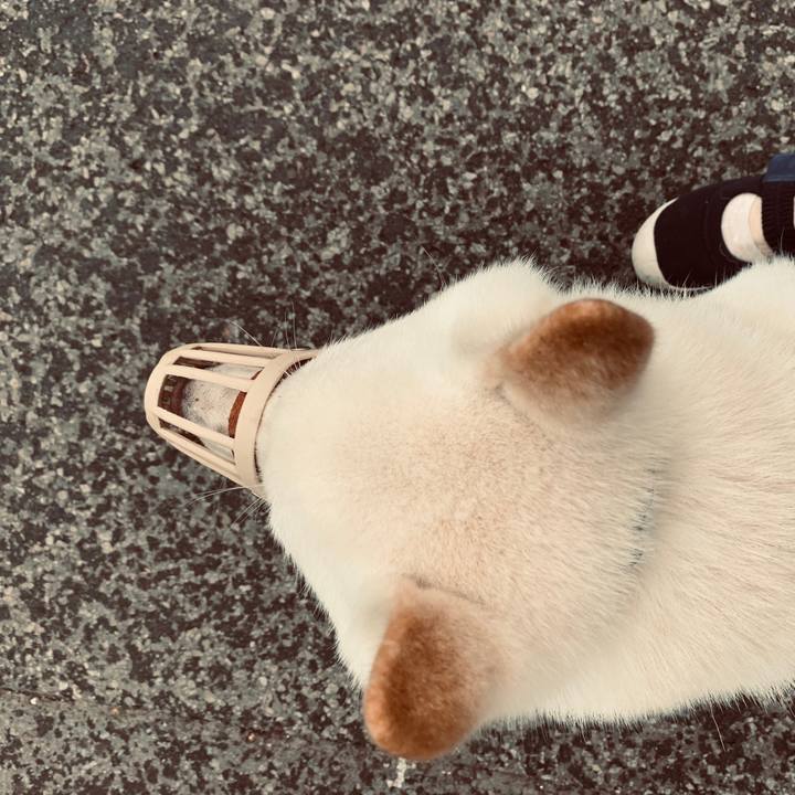 49c6d29a 53bd 4bb2 b41f 282affcbbbac 1564089358103