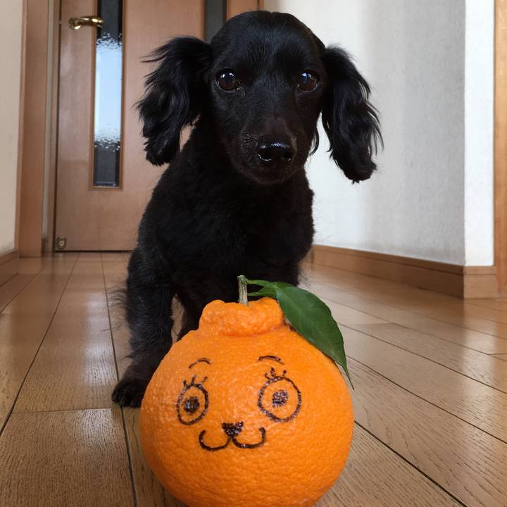 49c6d62a 5ef8 4e8b 9ed2 cbb9e96d44f7 1520977862804