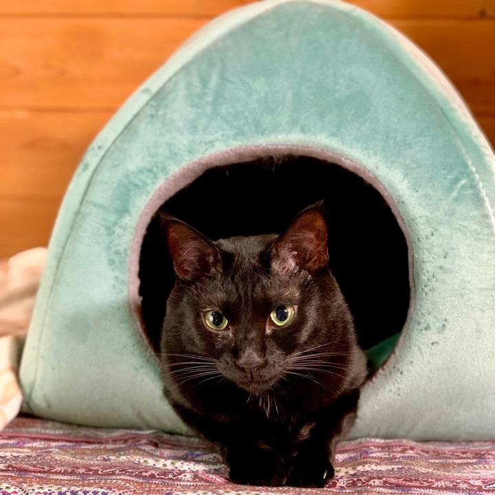 49c70acd f672 4de4 bdeb 4a4088e393ea 1686554571076