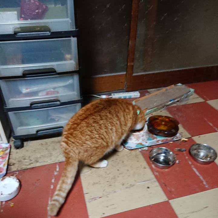 49c71462 ad87 4723 8fd8 056efaeef536 1579896610177