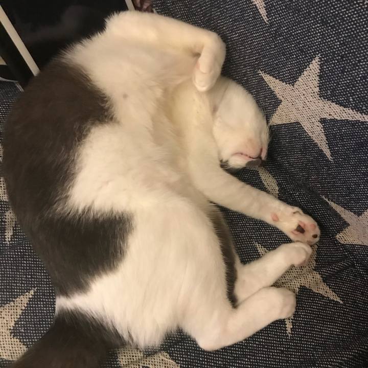 49c73844 4bfc 4c55 a183 f77486caa7ff 1625313084144