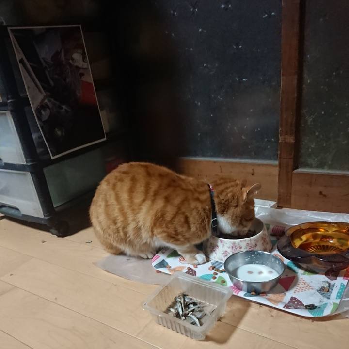 49c73ca2 d244 46c0 9f54 e118f5ea064d 1604951601622