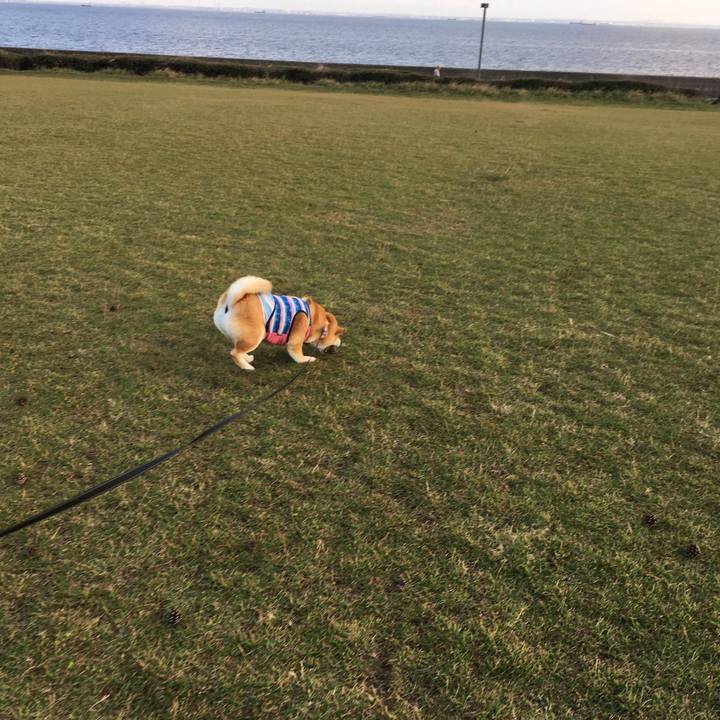 49c76af7 a2f9 47fb 8fe8 866f8c214a32 1539074372921