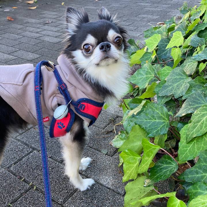 49c77e98 becb 409c 9583 60f3ea7beeaf 1700320139053