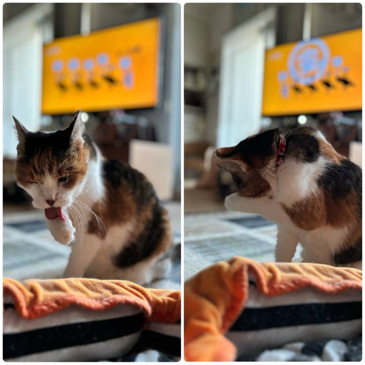 49c79502 f58b 426e 9998 e17ed7d8659b 1701381703908