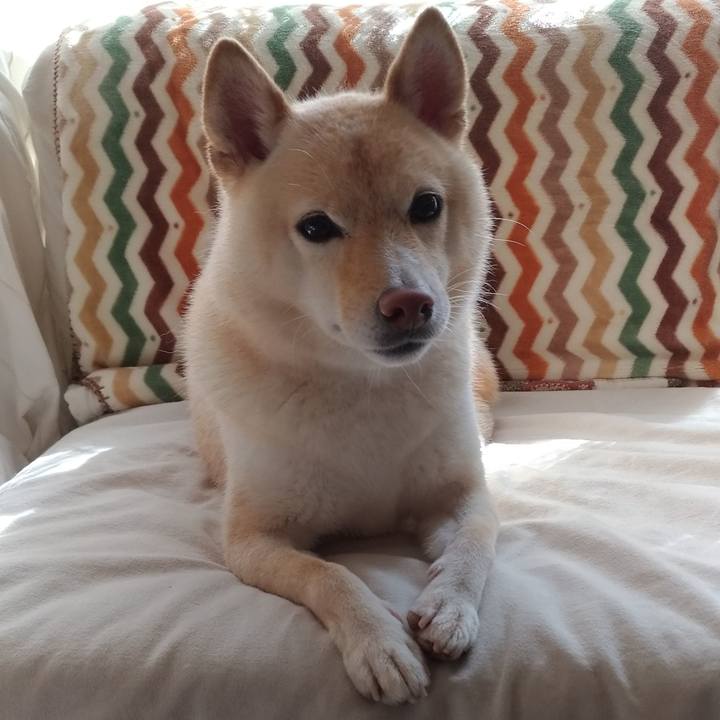 49c7fd97 4477 4139 8f87 0979527eeb63 1605323449495