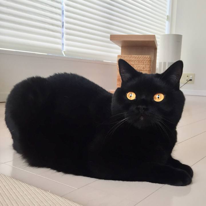 49c7fe0e 7fad 4912 ab9b b976ae2aff5a 1562833282069