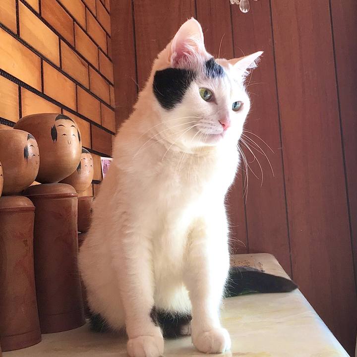 49c81cc7 b882 449c 9b73 6588082be800 1586502952491