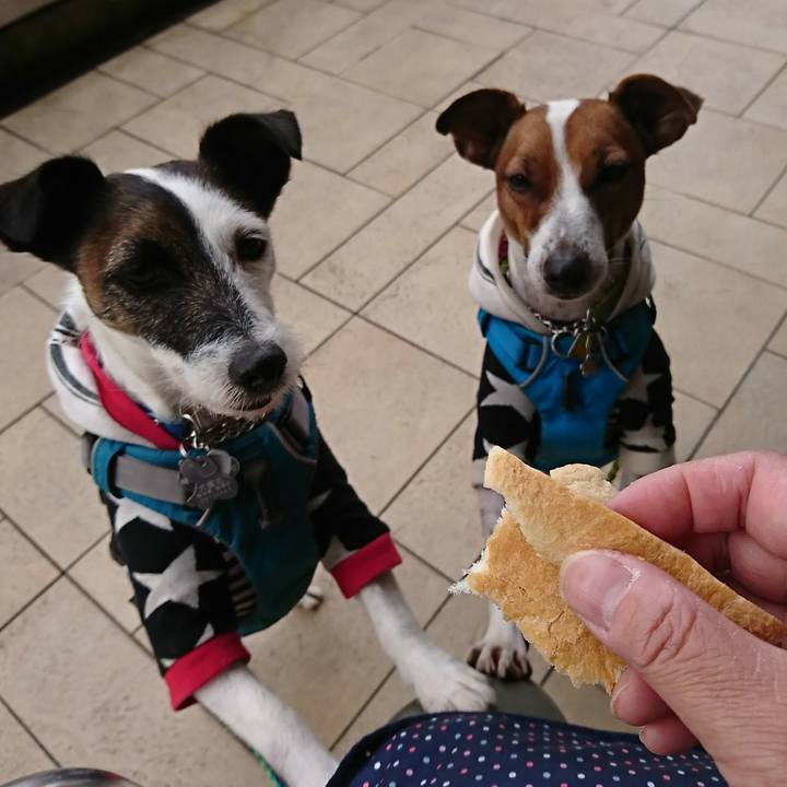 49c85789 c615 4d76 a829 e9655f9e2b03 1576038263933