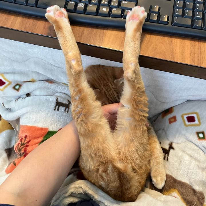 49c8639f 0ef0 4db5 8ad2 006f0ecca9e5 1776727769359