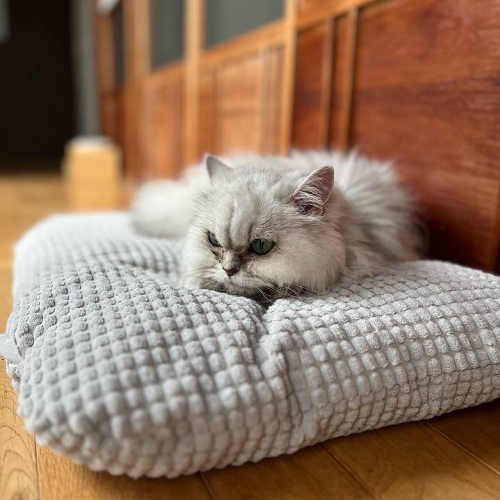 49c8a233 a26c 4db6 9ce5 acf1e8e70745 1689224360005