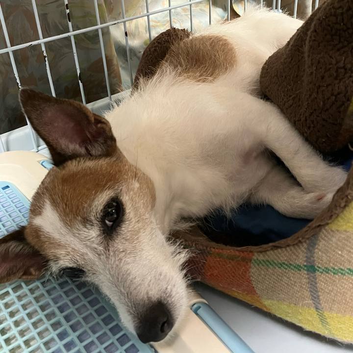 49c8a734 2a54 4d54 bc43 0e3738e2050e 1689203748681