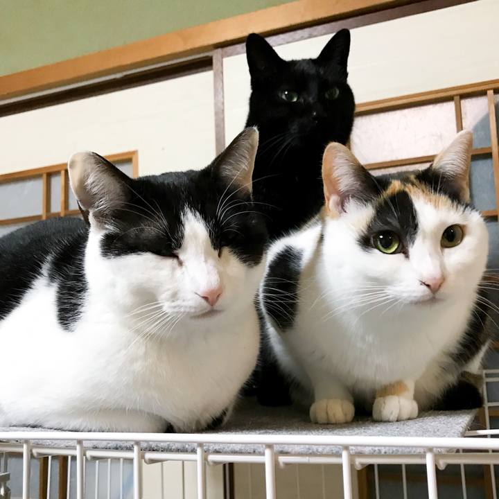 49c8b1d5 9d8f 479c 948a 3d6239c5c52d 1521890580672