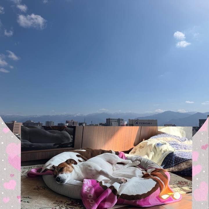 49c8c811 cf6e 42ed ae2e 13e63c0c3dec 1773049925399