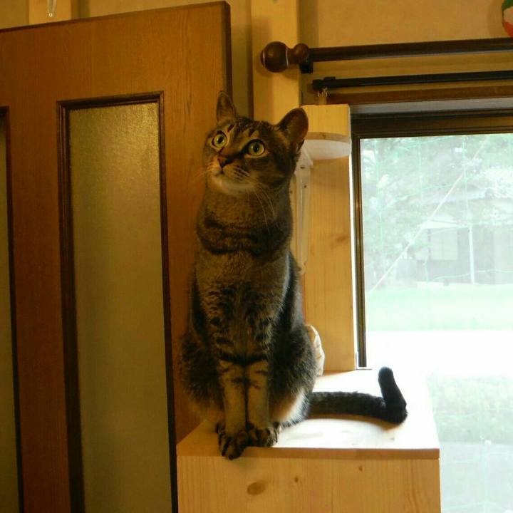 49c8d1d0 6271 4591 95bf 076c717aeafe 1533009067174