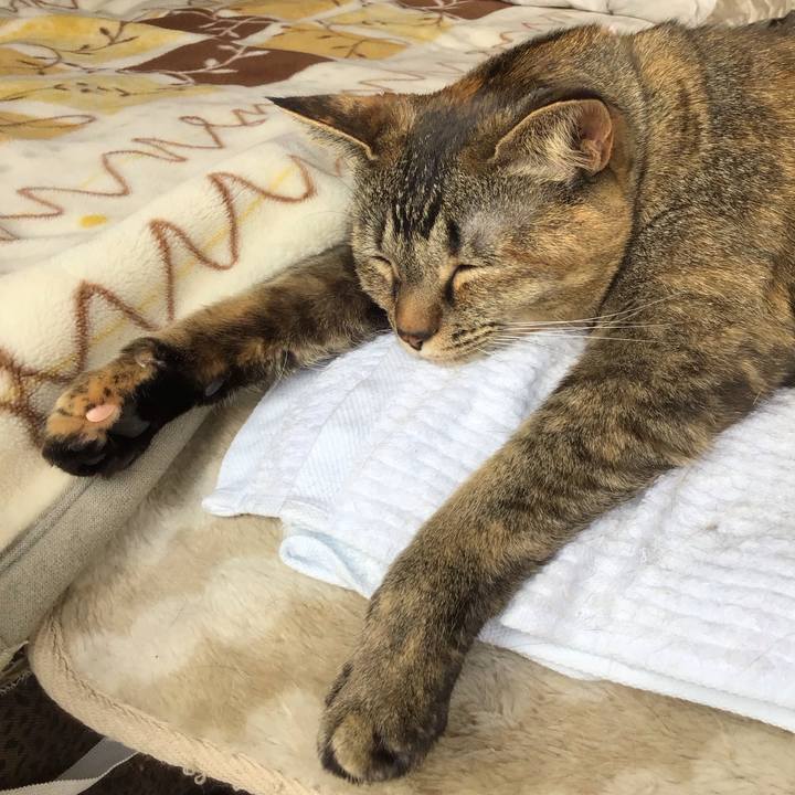 49c8d276 dc22 48c9 9347 0b292fee8133 1683277243285