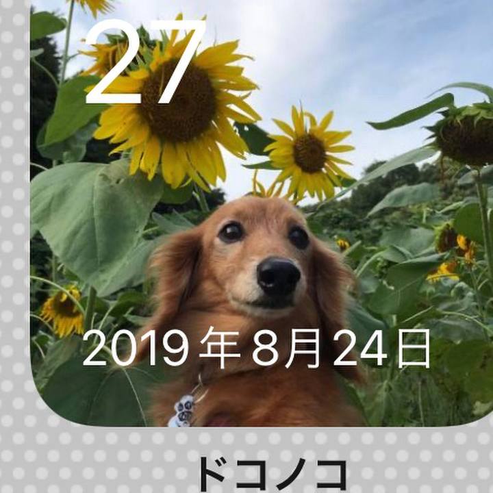 49c8e0e6 fe52 4c59 85cf 4b433d219e58 1661651393451