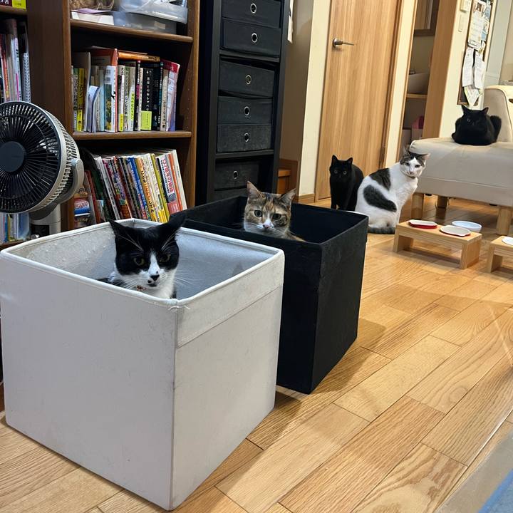 49c8fc60 b564 4bb7 a1eb 5d5392bf153f 1668606890783