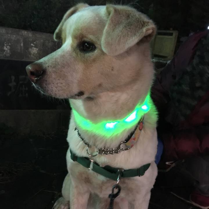 49c92a59 c236 4ef4 927d 15f3c64790fa 1516790517377