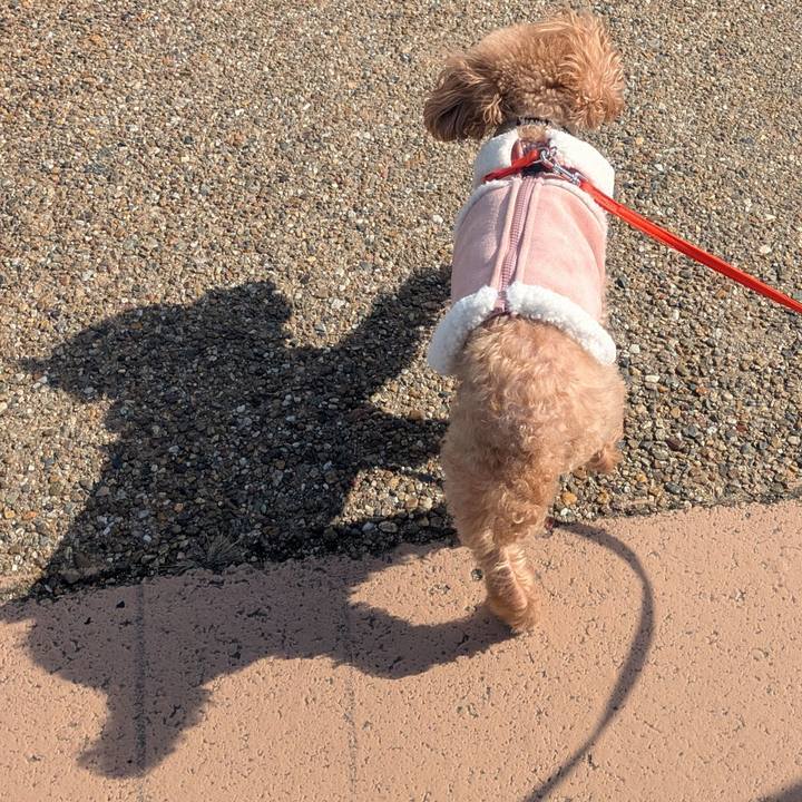 49c957f7 89e9 4f29 945f 3e7afdaf58f8 1769149015896