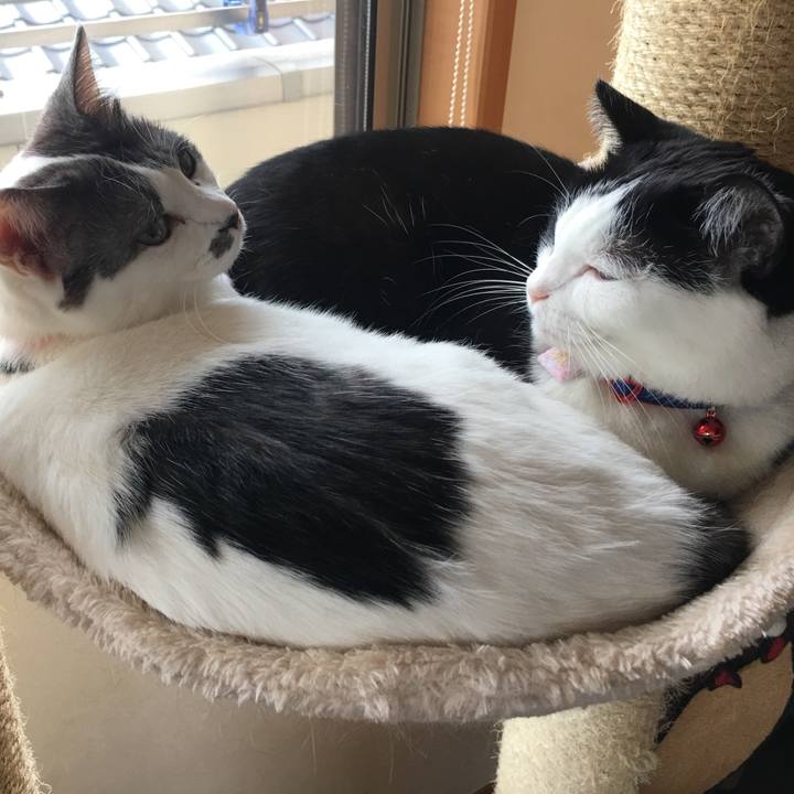 49c960dc 8551 4d5e b4fb b1664db6ac7a 1516148555372