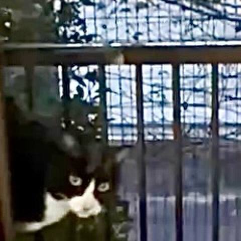 49c98caf 21e4 4d35 92d2 69c07c06e13c 1762769327928