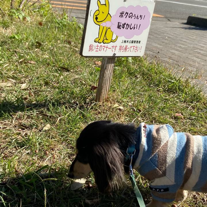 49c99469 6767 4e70 b117 6fe27ab761cc 1700101921241