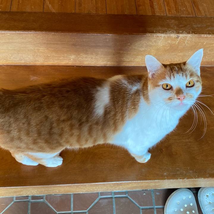 49c99faa 9ac1 4dba a4ee 4d4657ae69ec 1639291468879