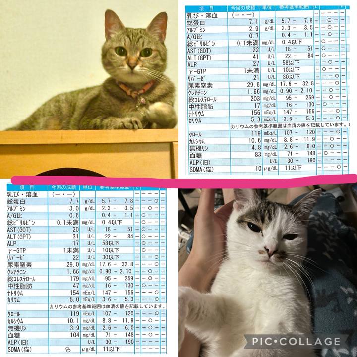49c9e657 fcd0 456a 8a34 2c954b90328a 1720051295225