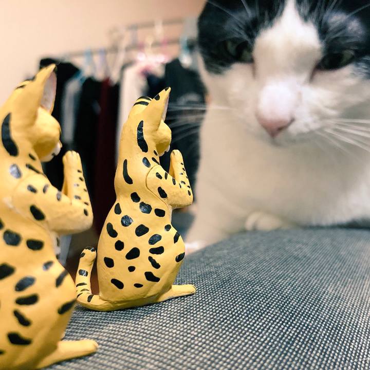 49c9f924 a207 4113 8313 642c0f9f8aa3 1543416857056