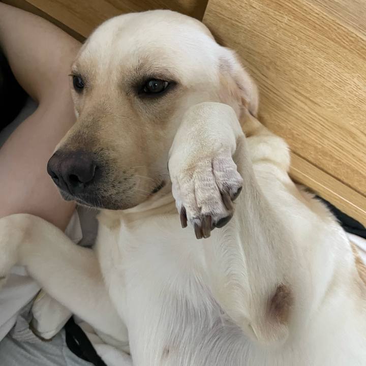 49ca09f4 d4fd 4160 8578 64453566b768 1665061327349