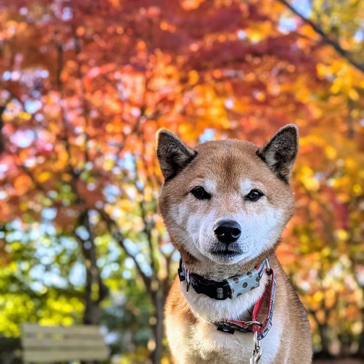 49ca28dd 7402 447b 9fe3 005f10994019 1732932768324