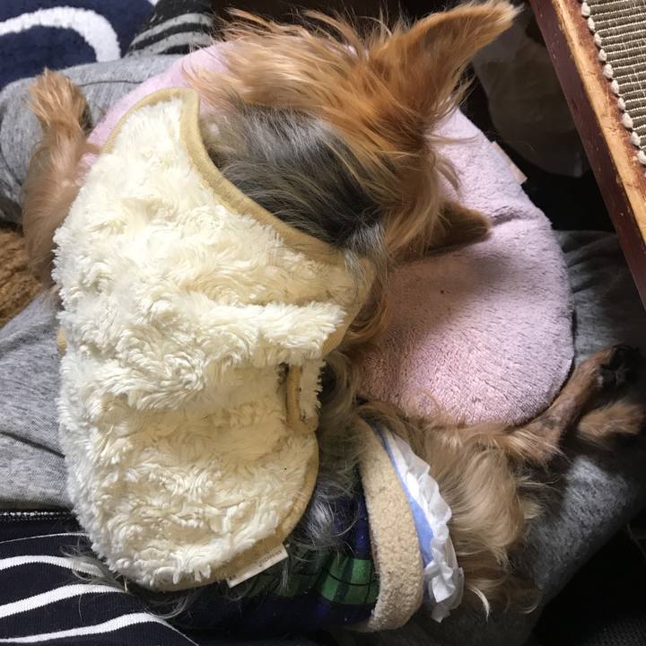 49ca3b72 92e4 42df 95fa bb6715b15556 1520256454128