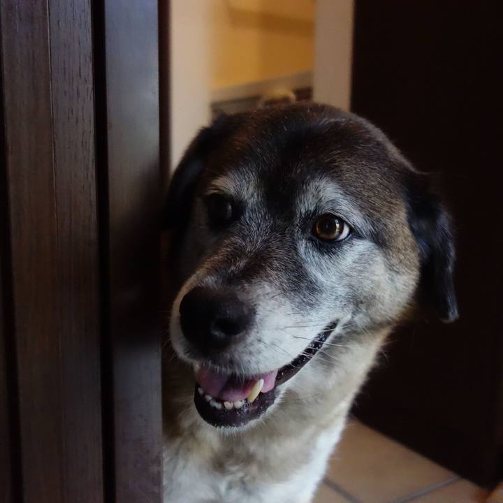 49ca5ada 5611 481a 8e5e f82436cbcf2f 1676337706448