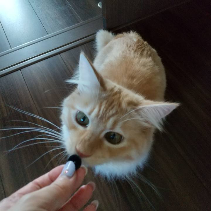 49ca65a7 a70b 4d4d 9968 d3cf2817a74e 1631250081933