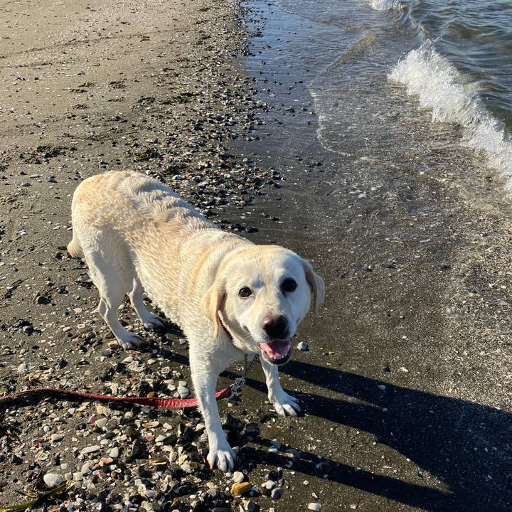 49ca768b 36fb 4649 959f 45186225e334 1660903365405