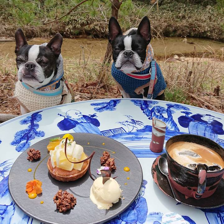 49cabb71 8f65 4b6f a678 1683c4b5ec75 1523523673249