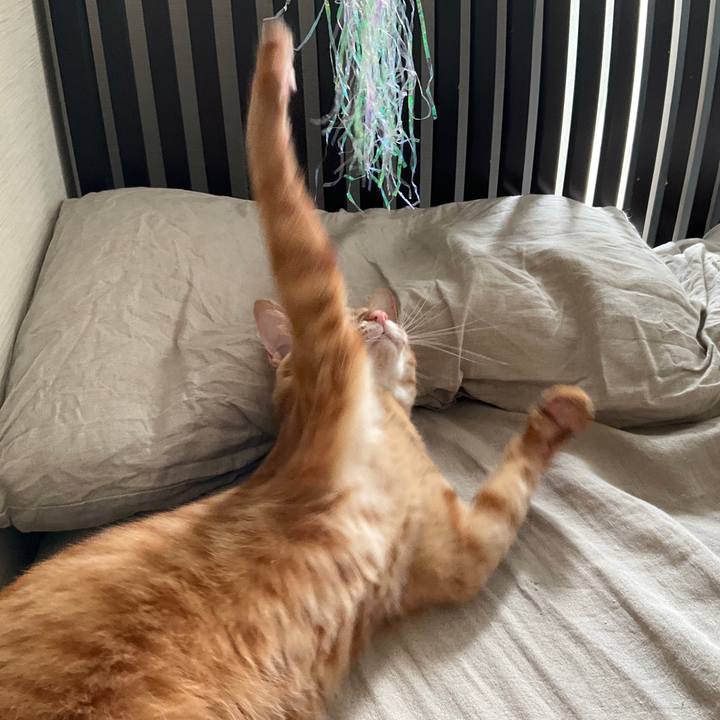 49cabc70 821b 4b99 a4cb a3732f995e30 1632967783508