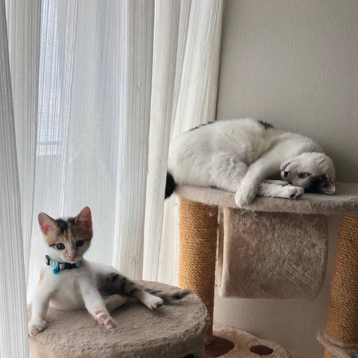 49cace1c 66a3 4f45 8c91 d5502d550d70 1562391063412