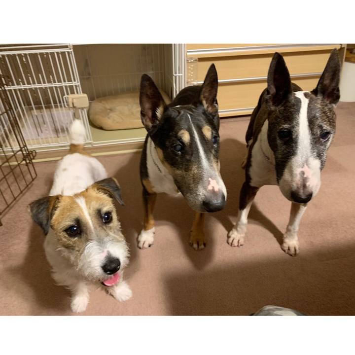 49cae28d 32bc 4757 934d ff31e96b7dc2 1592220390774